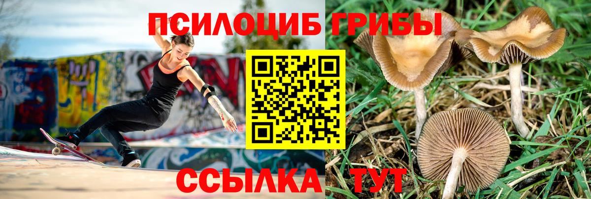 Псилоцибиновые грибы MAGIC MUSHROOMS Алексеевка