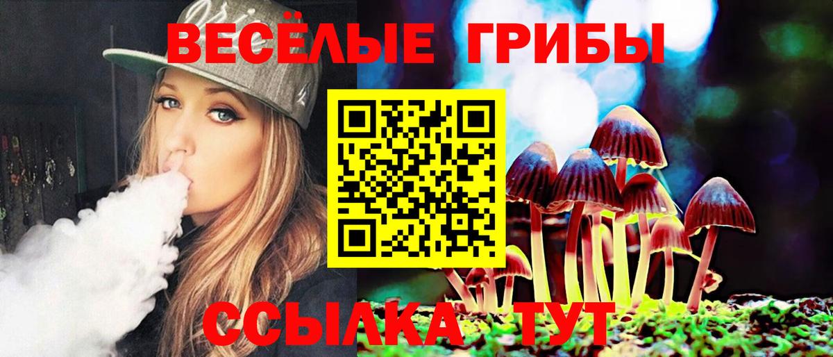Галлюциногенные грибы Psilocybe  Вход с VPN  Алексеевка 